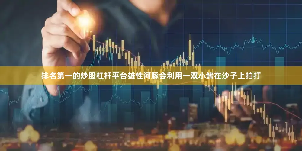 排名第一的炒股杠杆平台雄性河豚会利用一双小鳍在沙子上拍打