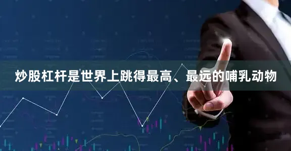 炒股杠杆是世界上跳得最高、最远的哺乳动物