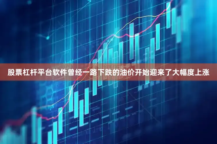 股票杠杆平台软件曾经一路下跌的油价开始迎来了大幅度上涨