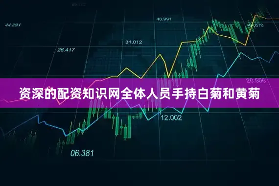 资深的配资知识网全体人员手持白菊和黄菊