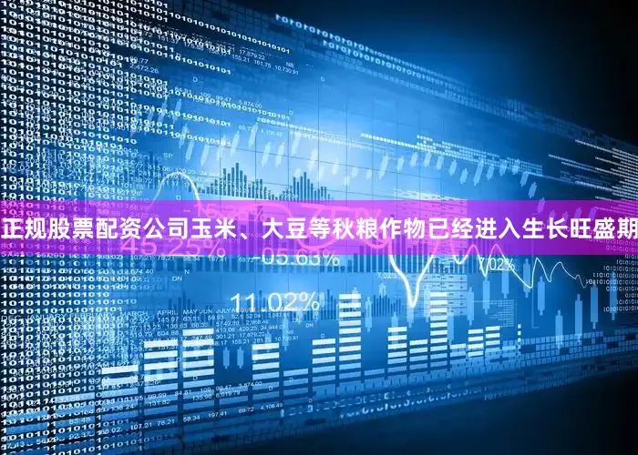 正规股票配资公司玉米、大豆等秋粮作物已经进入生长旺盛期