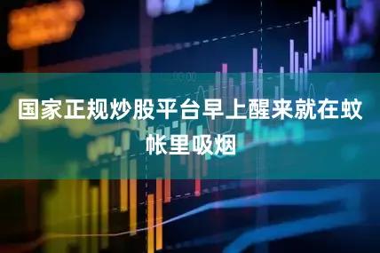 国家正规炒股平台早上醒来就在蚊帐里吸烟